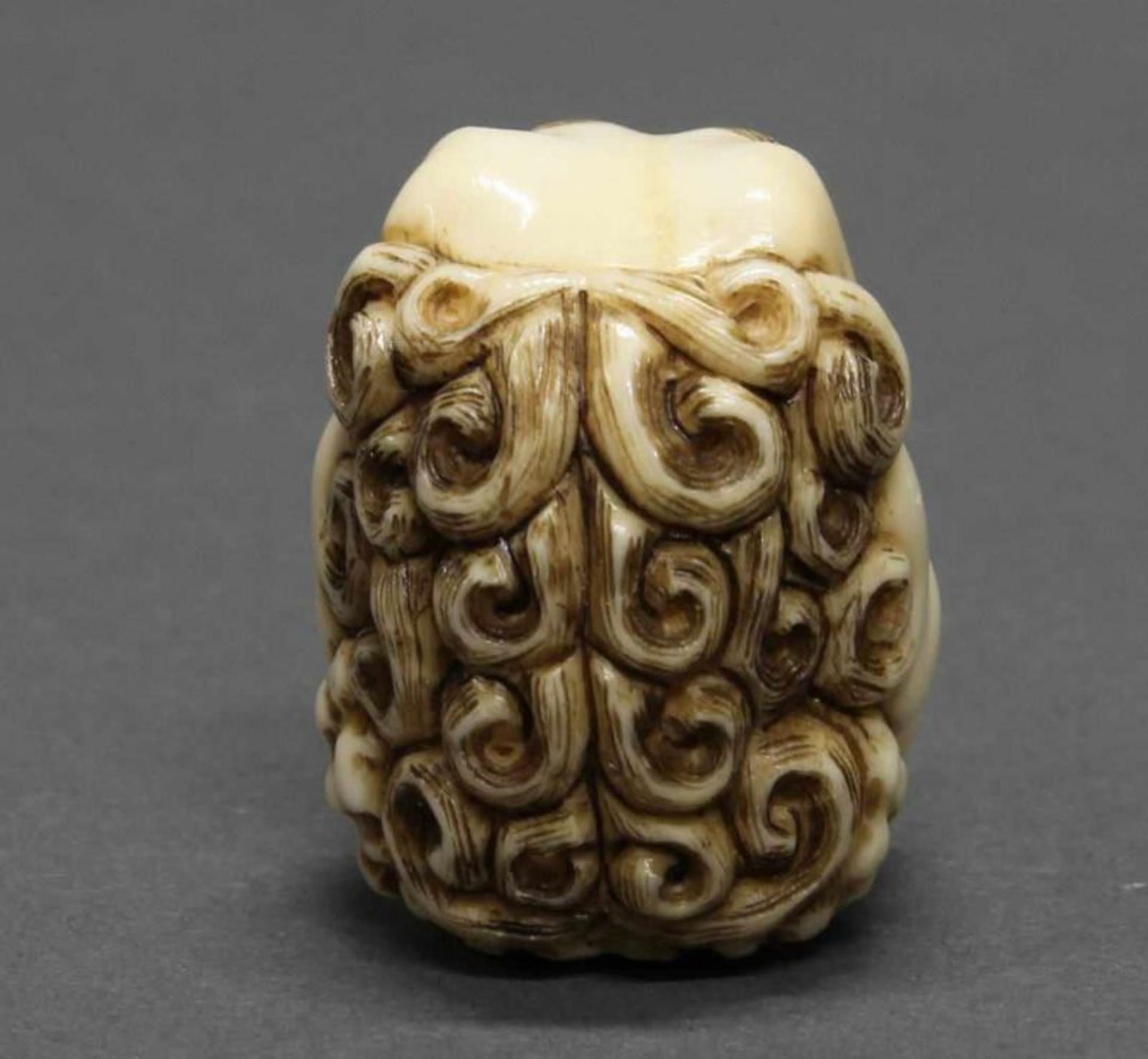 Netsuke, "Shishi", Japan, 19., Jh., Elfenbein, geschnitzt, eingelassene Augen, signiert, 3.4 cm hoch - Image 3 of 5