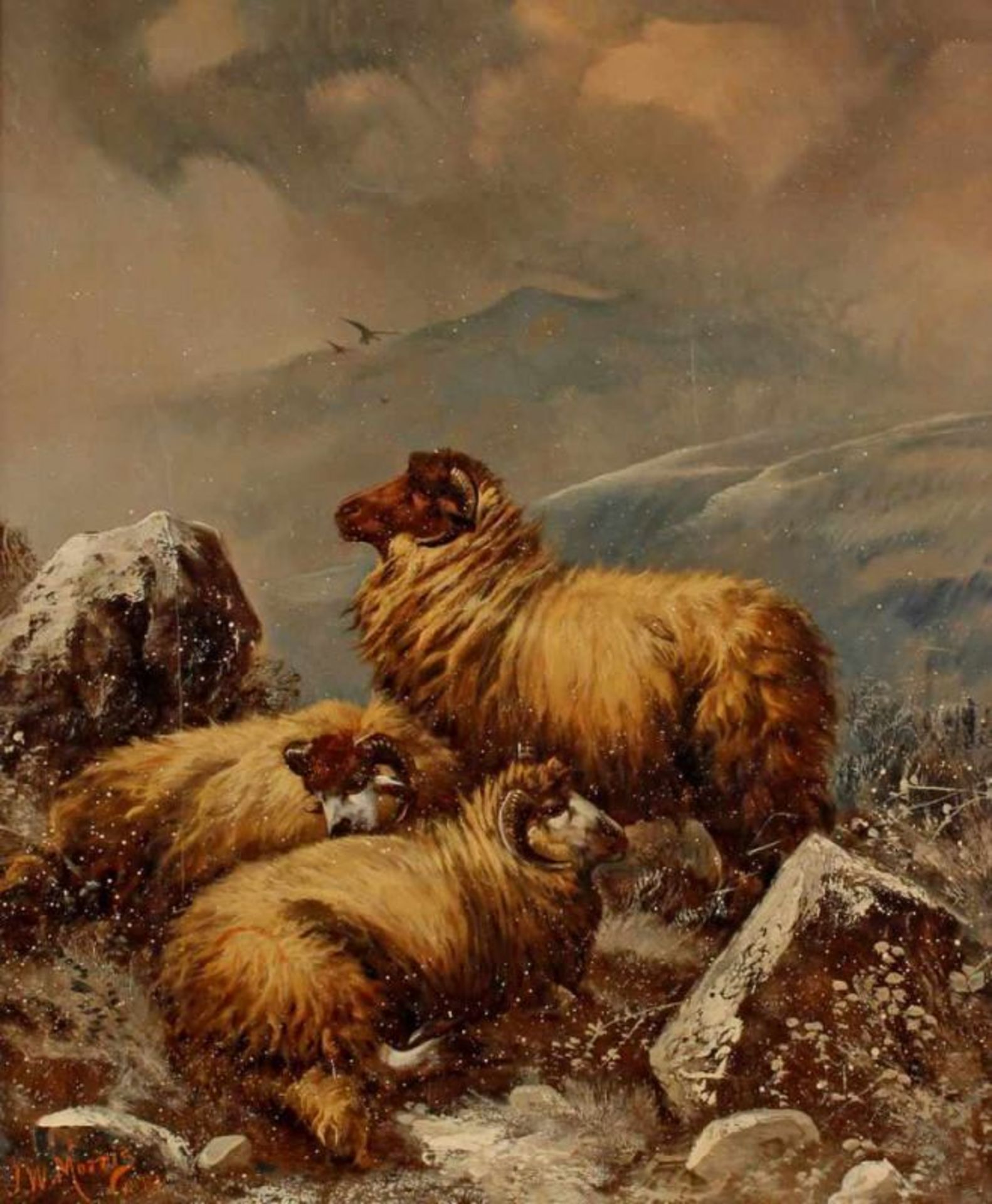 Morris, James W. (tätig 1860 - 1890, Tiermaler), "Schafe im Schneegestöber", Öl auf Leinwand,