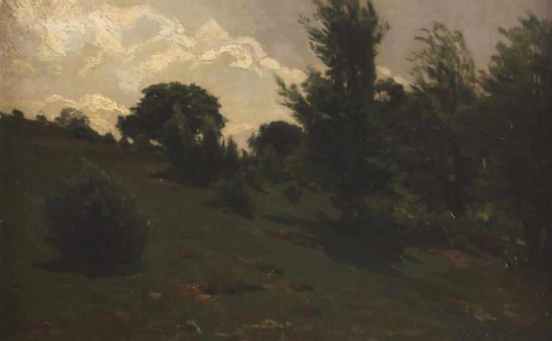 Stüber, Hanny (geb. 1870, Landschaftsmalerin), "Wacholderheide bei Vlodrop", Öl auf Leinwand, auf