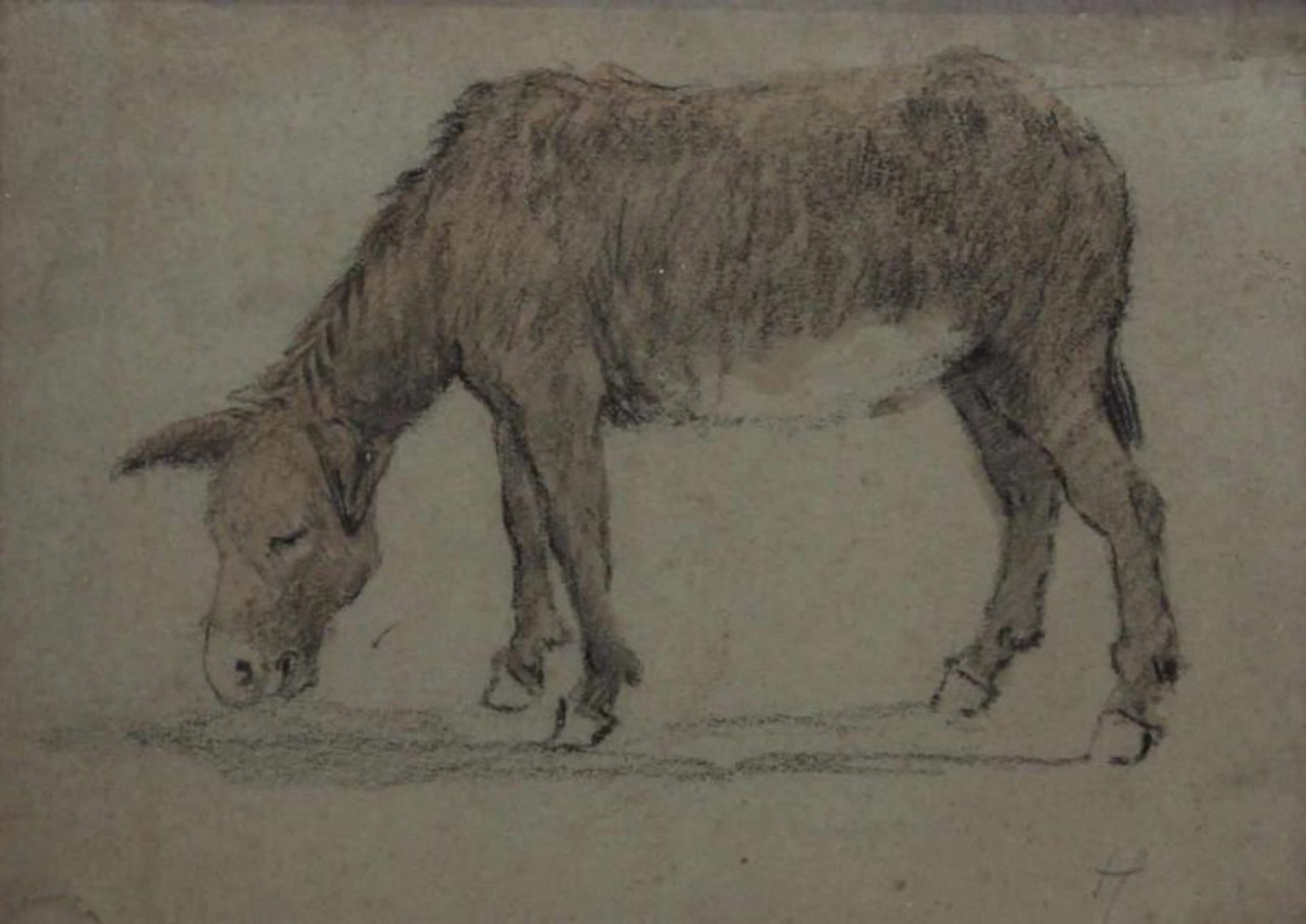 2 Bleistiftzeichnungen, "Esel" und "Maultiere", 1x monogrammiert H, 1x laviert, 12 x 17 cm bzw. 18 x - Image 4 of 4