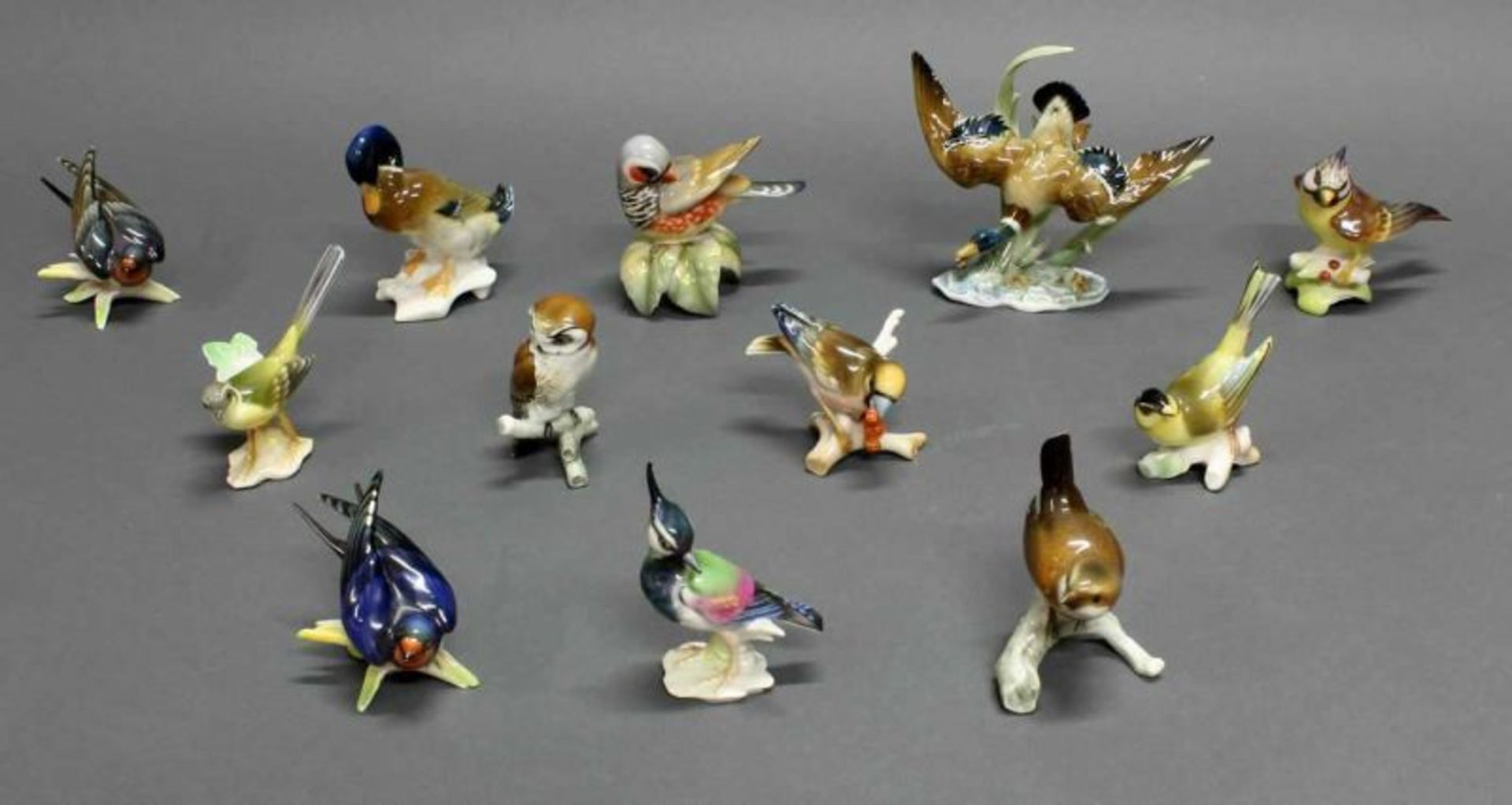 12 Porzellanfiguren, "Vögel", Hutschenreuther, polychrom, 6-12 cm hoch, eine Schwalbe mit Chip 20.00