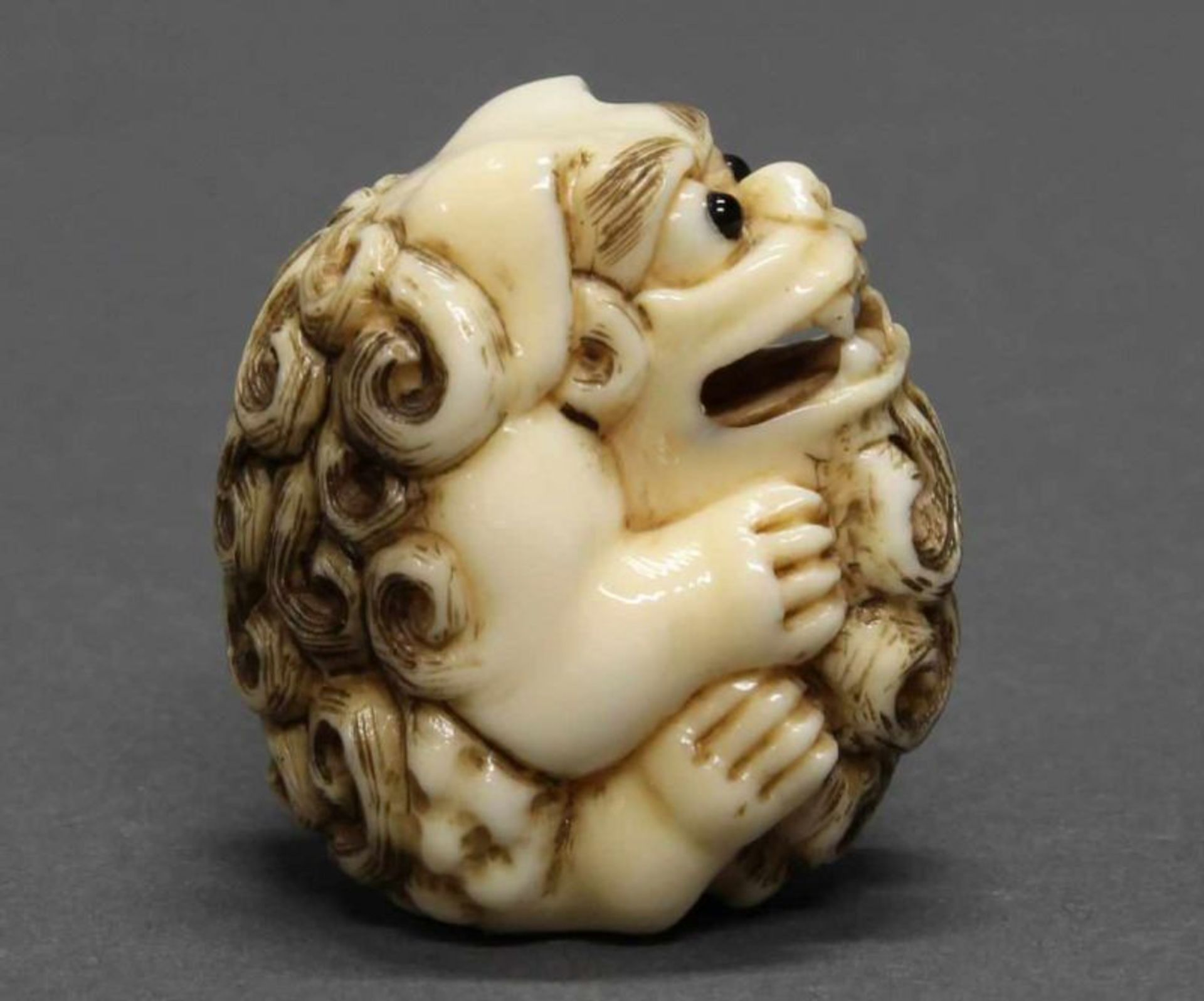 Netsuke, "Shishi", Japan, 19., Jh., Elfenbein, geschnitzt, eingelassene Augen, signiert, 3.4 cm hoch - Image 4 of 5