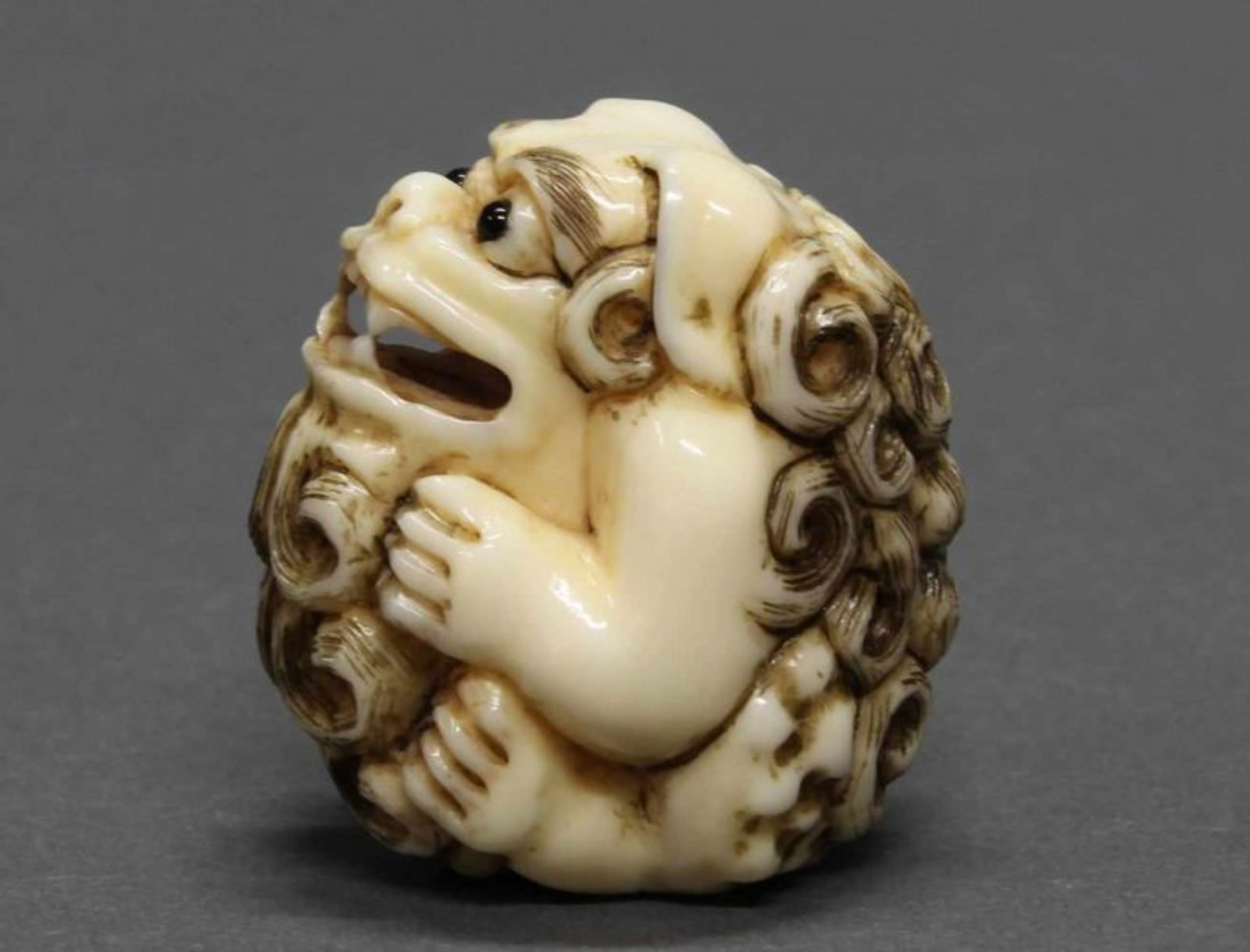 Netsuke, "Shishi", Japan, 19., Jh., Elfenbein, geschnitzt, eingelassene Augen, signiert, 3.4 cm hoch - Image 2 of 5