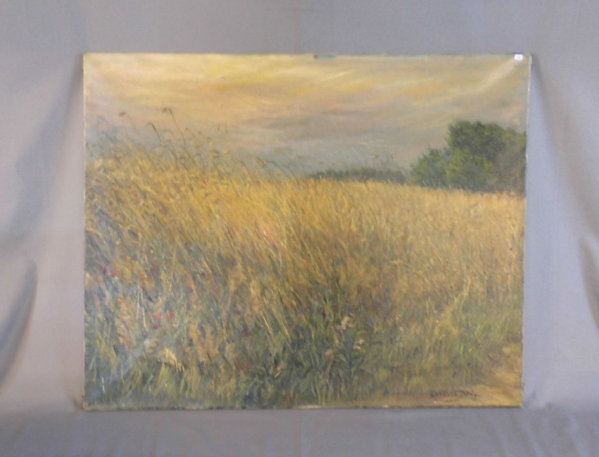 DONY, CHARLES J. N. (19./20. Jh.), Gemälde / painting: "Getreidefeld", Öl auf Leinwand / oil on