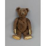 STEIFF - BÄR, mit "Knopf im Ohr" / teddy bear, Vorkriegsmodell, ca. 1930, dunkelbrauner