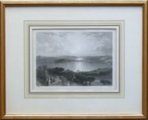Insel Mainau (Mitte 19.Jh.)Stahstich von Foster/Willmore; ca. 10 x 16 cm; Goldleiste; unter PP,