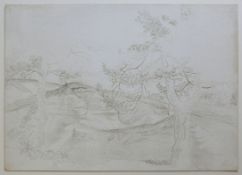 Dix, Otto (1891 Gera - 1969 Singen)"Kiefern bei Wangen - Landschaft am See"; Silberstift-Zeichnung/