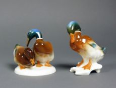 2 Enten Figuren (Hutschenreuther Kunstabteilung) 1x Pärchen; jeweils farbige Unterglasurmalerei;