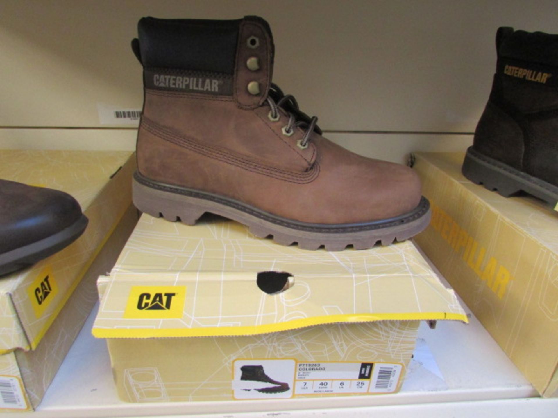 Cat Colorado  6" Boot Barley   Size: 6