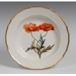 A Derby Botanical shaped circular deep plate, painted with  Rapaver (poppies), gilt line rim, 24.