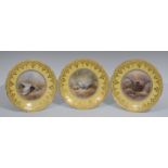 A set of three Cauldon shaped circular ornithological plates, painted by J Birbeckson, signed,