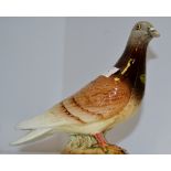 A Beswick model of a Pigeon,