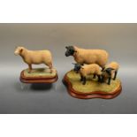 A Border Fine Arts model, Suffolk Ewe and Lambs, B0778, plinth base; another Charollais Ram B0774,