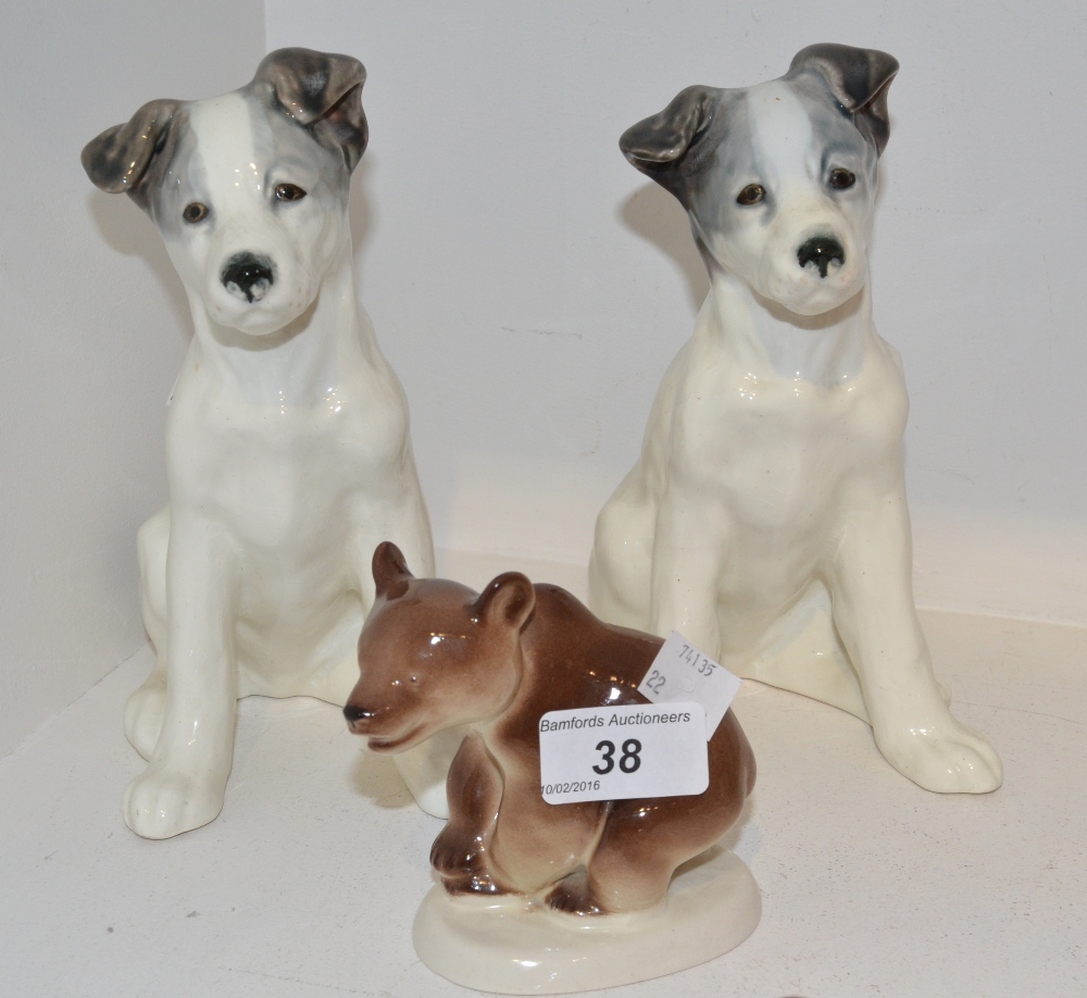 A pair of USSR Terrier puppies;
