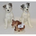 A pair of USSR Terrier puppies;