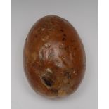 A large amber egg, internally containing many flies, leaf and other fragments, 97mm long, 70mm wide,