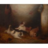 Edward Armfield (1817-1896) Terriers in a Stable signed, oil on canvas, 37cm x 44.
