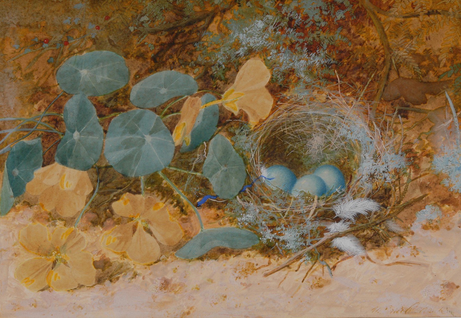 William Cruikshank (1848-1922) Still Life, Birds Nest, Feathers and Buttercups signed,