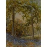Harold Gresley (1892 - 1967) Amongst the Bluebells, Robin Wood, Ingleby, Derbyshire signed,