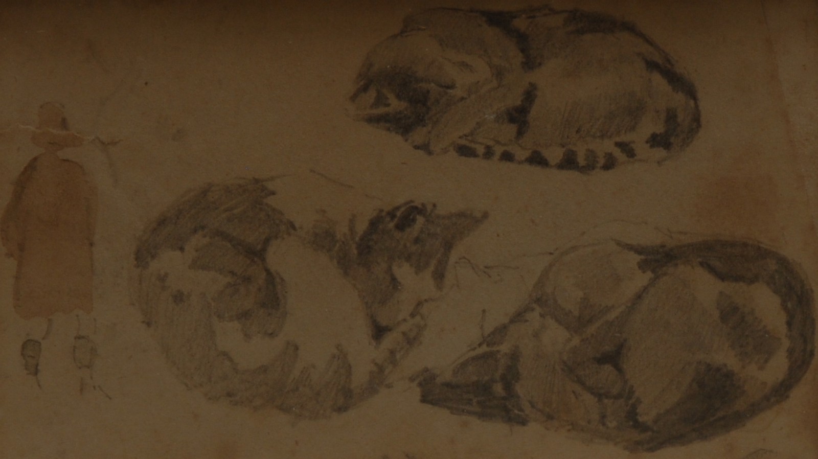 Thomas Miles Richardson Sr. (1784-1848) A set of three, Studies of Cats pencil, 4.1cm x 7.3cm and 5. - Bild 2 aus 3