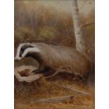 An English porcelain rectangular plaque, by Milwyn Holloway (former Royal Worcester artist), signed,