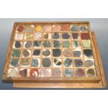 Geology - a collection of forty-eight polished hardstone specimens, varying colours,