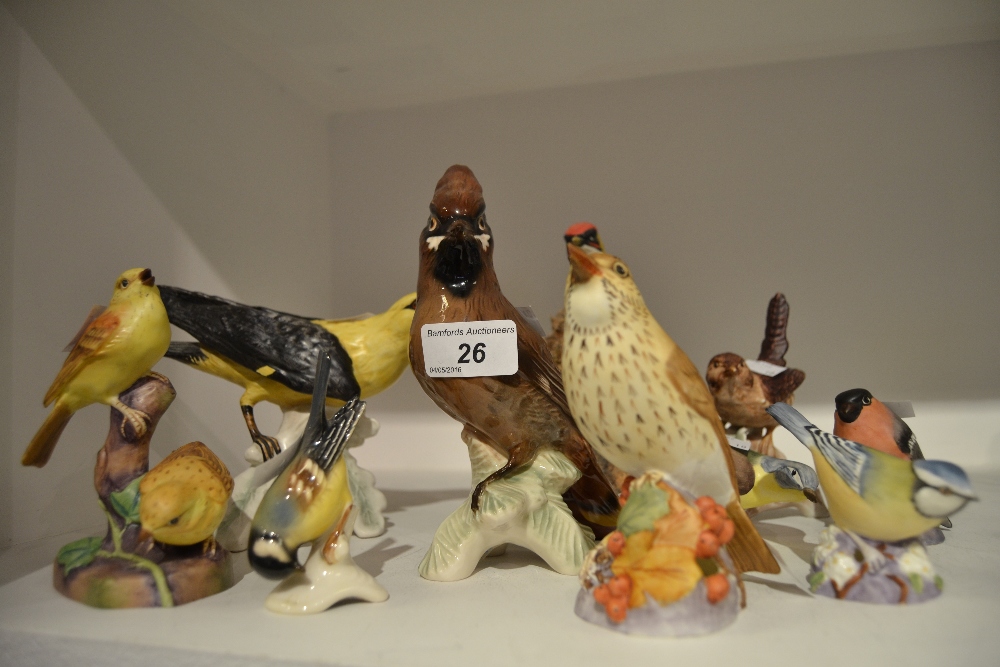 Ornithological Models - a Royal Worcester model of a Thrush; another,