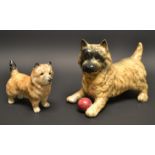 A Beswick model of a terrier playing with a red ball; another smaller,