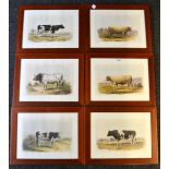 A set of six French lithographs, of cattle,