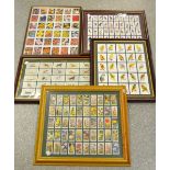 Framed cigarette card sets including John Player and sons,Wills,Odgens, birds,