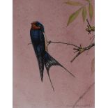 Richard Whitlestone (20th century) One Swallow Doesn't Make A Summer signed, watercolour, 24cm x 18.