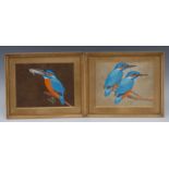 Indian School (19th century) A Pair, Kingfishers watercolours,