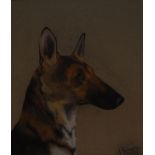 Cecilia Crompton (early 20th century) Study of an Alsatian signed, dated 1923, pastel,