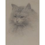 Horatio Henri Couldery (1832-1918) Domestic Long Haired Cat pencil sketch,