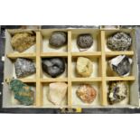 Geology - twelve large samples of minerals and fossils, the case 36cm wide,