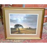 Arthur Pass, Summer fields, pastel,framed,