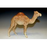 A Beswick model of a Camel 6" height to Back,