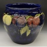 A large Moorcroft Wisteria pattern jardiniere, tube lined with large flowerheads and foliage,