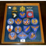 A collection of American Air Force badges and cloth patches