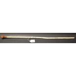 An early 20th century vertebrae swagger stick, bulbous hardwood handle, 81.5cm long, c.