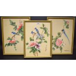 A set of three Chinese watercolours, Birds Amongst Branches,