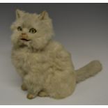 A static model of a seated cat, white fur, painted green/yellow glass eyes, open close mouth,