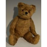 A Teddy Bear, honey coloured plush body, centre seem, plastic eyes, stitched nose,