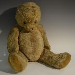 An early 20th century Teddy Bear, gold plush mohair, painted glass eyes, stubby hand stitched nose,