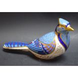 A Royal Crown Derby paperweight, Blue Jay, gold stopper, John Ablitt signature in gold,