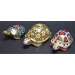 A Royal Crown Derby paperweight, Indian Star Tortoise, gold stopper, boxed; another, Terrapin,