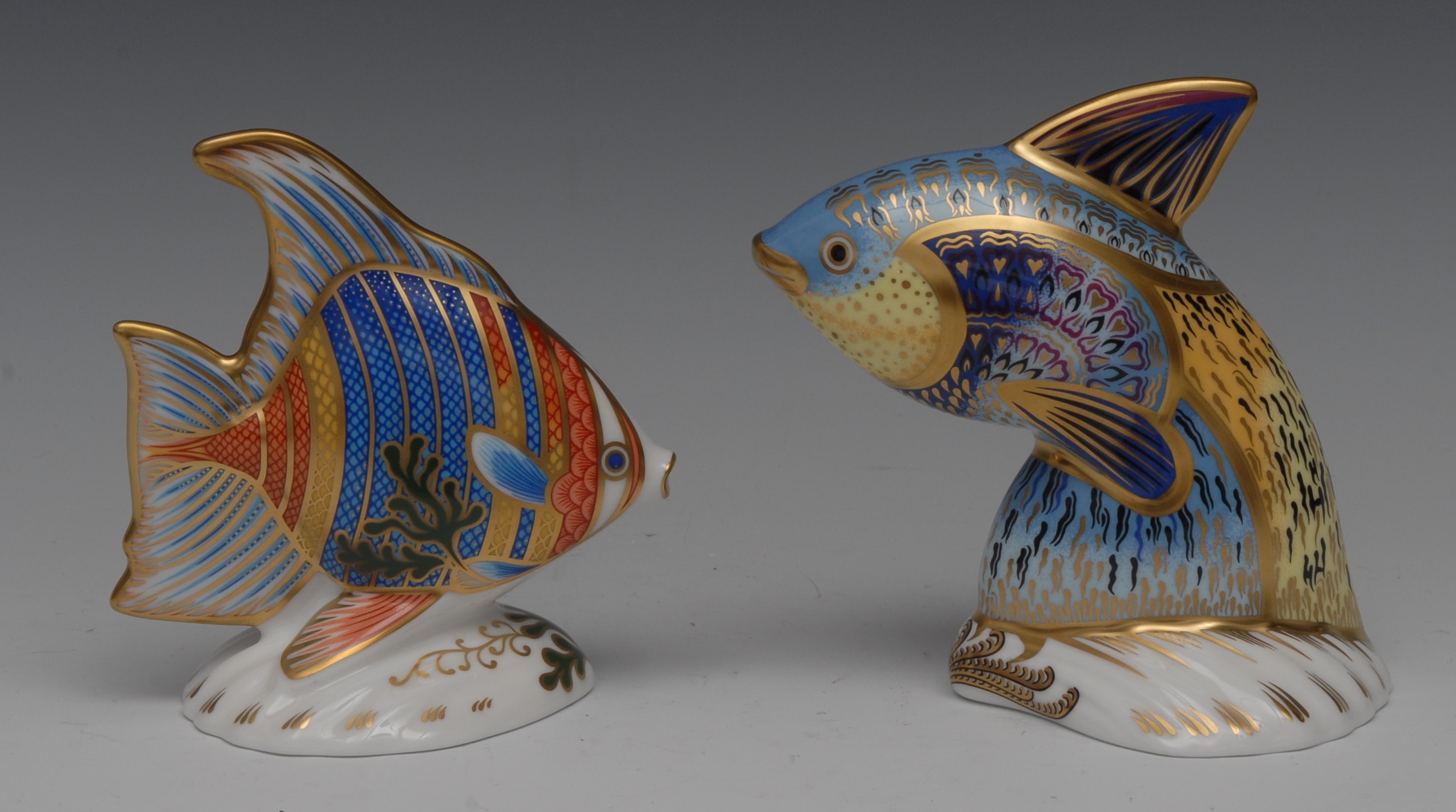A Royal Crown Derby paperweight, Pacific Angel Fish, limited edition 1168/2500, gold stopper,