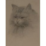 Attributed to Horatio Henry Couldery (1832-1918) Study of a Cat pencil drawing on paper, 18.
