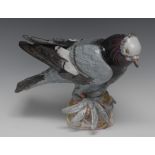 A late 19th century Meissen pigeon, naturalistically modelled, 22cm high,