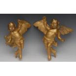 A pair of Italian giltwood and gesso cherubs, scantily clad and carved triumphant,